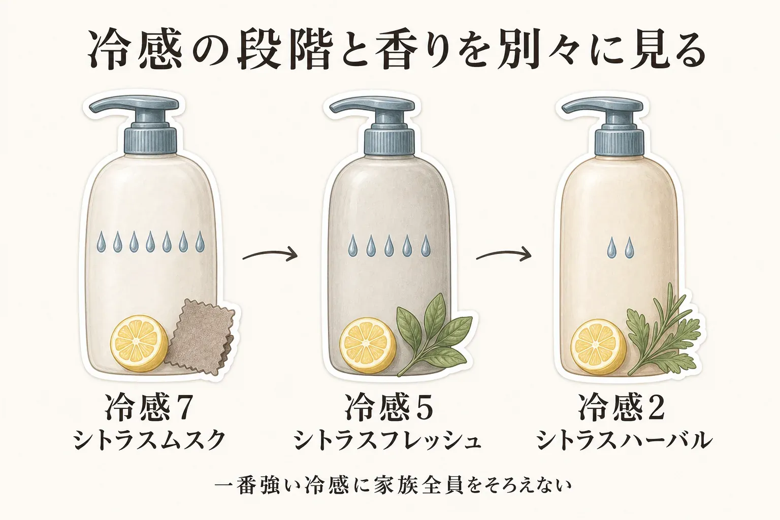 冷感の段階と香りを別々に見る図。冷感7のシトラスムスク、冷感5のシトラスフレッシュ、冷感2のシトラスハーバルを並べ、家族全員を一番強い冷感にそろえないことを示している